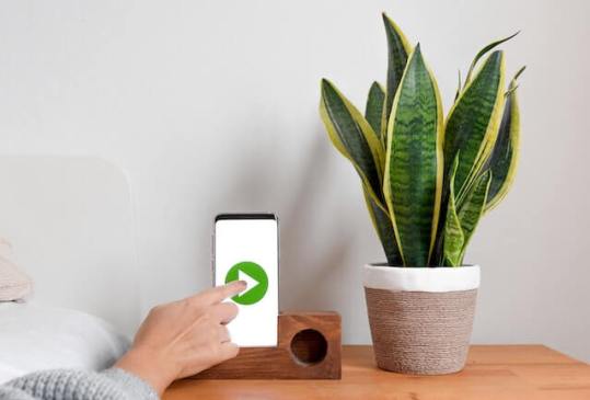 SOURCE: Pexels - Photo by Marko Klaric: https://www.pexels.com/photo/crop-faceless-woman-pressing-play-button-on-smartphone-6408286/