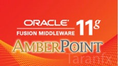 oracle-middleware-amberpoint